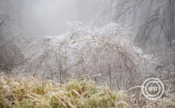 Folytatódik a csapadékos, de enyhe időjárás a jövő héten is