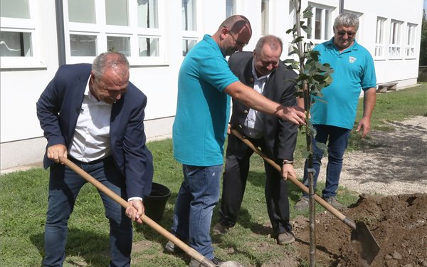 Nyolcezer fát ültetnek el idén ősszel az Országos Településfásítási Programban