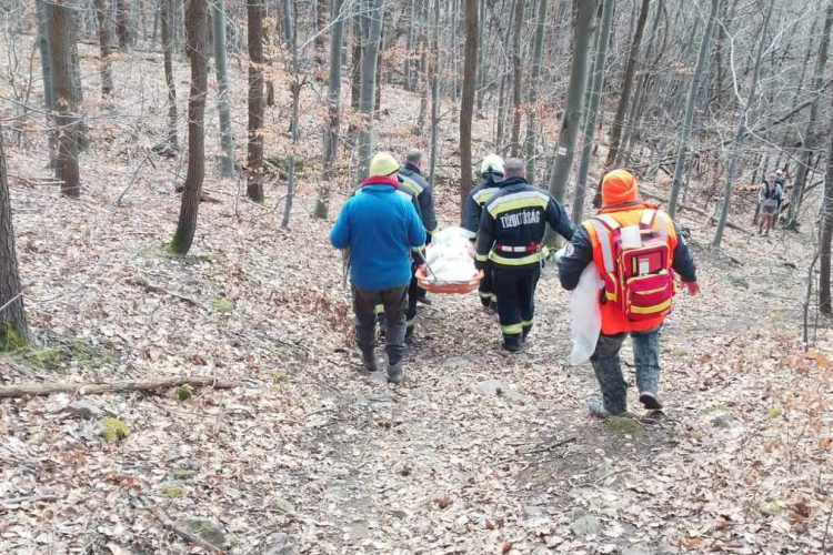 Szakadékba zuhant gyermeket mentettek a tűzoltók és a speciális mentők