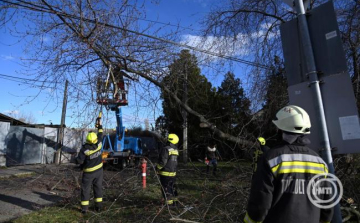 Az erős szél miatt országosan háromszáz káresethez riasztották a tűzoltókat